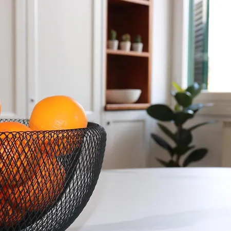 Daire Saint Bon Dream *